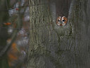 BUITEN BEELD Foto: 315458