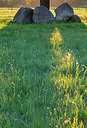 BUITEN BEELD Foto: 315461