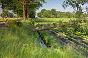 BUITEN BEELD Foto: 315530