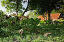 BUITEN BEELD Foto: 315531