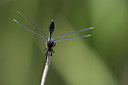 BUITEN BEELD Foto: 315565