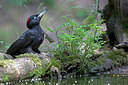 BUITEN BEELD Foto: 315582