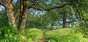 BUITEN BEELD Foto: 315643