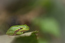 BUITEN BEELD Foto: 315644
