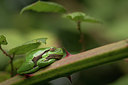 BUITEN BEELD Foto: 315646