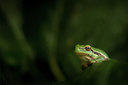 BUITEN BEELD Foto: 315647