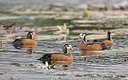 BUITEN BEELD Foto: 315725
