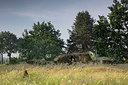 BUITEN BEELD Foto: 315732