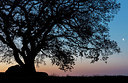BUITEN BEELD Foto: 315795
