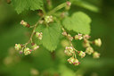 BUITEN BEELD Foto: 315892