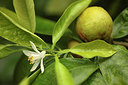 BUITEN BEELD Foto: 315895