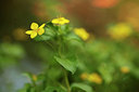 BUITEN BEELD Foto: 315905