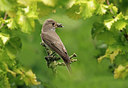 BUITEN BEELD Foto: 316037