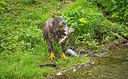 BUITEN BEELD Foto: 316130