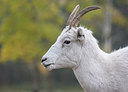 BUITEN BEELD Foto: 316165