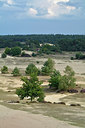 BUITEN BEELD Foto: 316172
