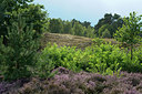 BUITEN BEELD Foto: 316174