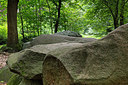 BUITEN BEELD Foto: 316191