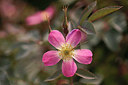 BUITEN BEELD Foto: 316216