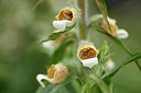 BUITEN BEELD Foto: 316220