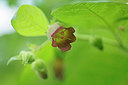 BUITEN BEELD Foto: 316222