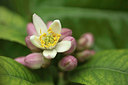 BUITEN BEELD Foto: 316229