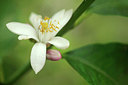 BUITEN BEELD Foto: 316231