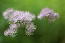 BUITEN BEELD Foto: 316249