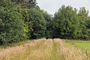BUITEN BEELD Foto: 316274