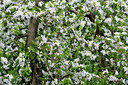BUITEN BEELD Foto: 316283