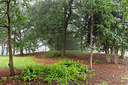 BUITEN BEELD Foto: 316306