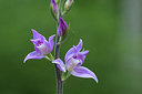 BUITEN BEELD Foto: 316326