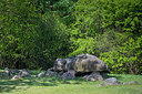 BUITEN BEELD Foto: 316353