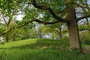 BUITEN BEELD Foto: 316361