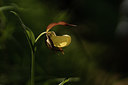 BUITEN BEELD Foto: 316373