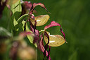 BUITEN BEELD Foto: 316374