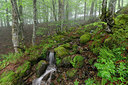 BUITEN BEELD Foto: 316385