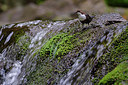 BUITEN BEELD Foto: 316389