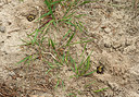 BUITEN BEELD Foto: 316411