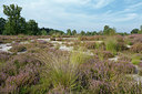 BUITEN BEELD Foto: 316423