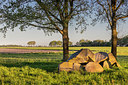 BUITEN BEELD Foto: 316455