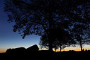 BUITEN BEELD Foto: 316460