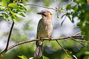 BUITEN BEELD Foto: 316470