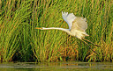 BUITEN BEELD Foto: 316529