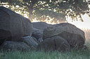 BUITEN BEELD Foto: 316564