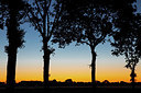 BUITEN BEELD Foto: 316572