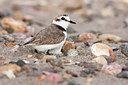 BUITEN BEELD Foto: 316602