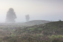 BUITEN BEELD Foto: 316639