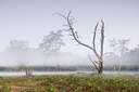 BUITEN BEELD Foto: 316655