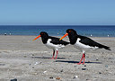 BUITEN BEELD Foto: 316692